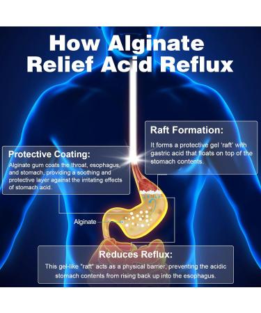 QUBIT Sodium Alginate for Acid Reflux No Aftertaste & Taste Well Easy to Swallow for Silent Reflux Heartburn & Indigestion Gourmet Raft Barrier on Stomach 60 Vegan Capsules - Buy Online on GoSupps.com