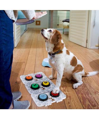 Duffire Dog Communication Button - Innovative Speaking Buttons for Pet Training (6 Languages) with Mats Stickers & Batteries - Buy Online on GoSupps.com