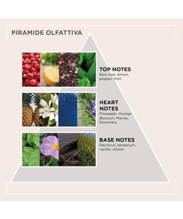  Kemon Actyva - Cute Sana Clarifying Exfoliating Scalp Scrub with Purifying and Normalizing Action - 200 ml - Buy Online on GoSupps.com