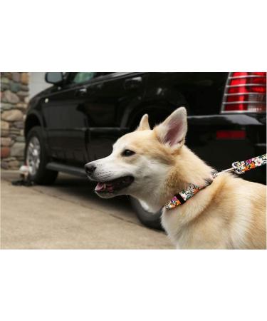 Cute Floral Dog Collar and Leash - Waterproof Colorful Female Design - Wide Range of Sizes Available - Tropical Garden Design - Buy Online on GoSupps.com