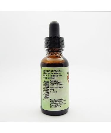 Holly Hill Health Foods Ginkgo 1 Ounce - Buy Online on GoSupps.com