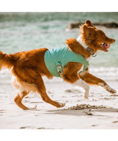 Hurtta Cooling Wrap for Dogs - Summer Cooling Vest in Aquamarine (45-55cm) | International Shipping Available - Buy Online on GoSupps.com