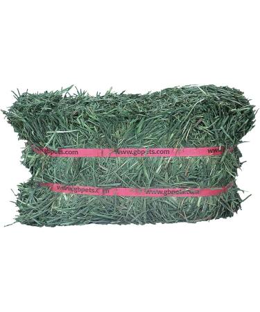 Grandpa's Best Orchard Grass Bale 10lb - Premium Quality Hay for Small Animals - Buy Online on GoSupps.com