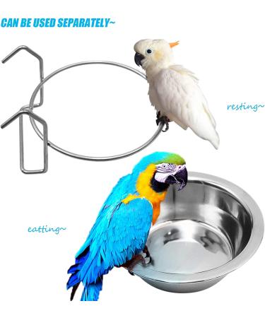 2 Pack Stainless Steel Bird Feeder Cups with Wire Hook - Parrot Feeding Dishes for Finches, Lovebirds - Includes Food Holder and Rattan Ball - Buy Online on GoSupps.com