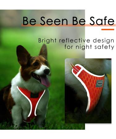ThinkPet No-Pull Dog Harness & Leash Set - Breathable Adjustable Safe Control for Small Medium & Large Dogs - Reflective Padded Orange (1 Pack) - Buy Online on GoSupps.com
