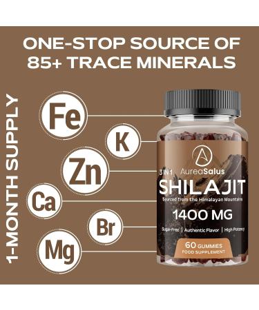 Shilajit Gummies 1400mg Shilajit Supplement with Chaga and Ashwagandha Original from Himalayan with Fulvic & Humic Acid and 85+ Minerals for Energy Immunity & Focus Sugar-Free 120 Gummies 60 count (Pack of 2) - Buy Online on GoSupps.com