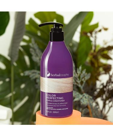 16.9 Fl Oz Purple Toning Shampoo for Blonde & Gray Hair - Eliminate Brassy & Yellow Tones - Infused with Cocos Nucifera Oil - Sulfate, Paraben, & Gluten Free - Men & Women - Buy Online on GoSupps.com