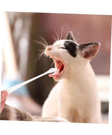 Beavorty 2pcs Home Oral Care Cleaning Dog Tooth Pet Manual Pets Supplies Soft-bristle Portable 1 count (Pack of 1) White - Buy Online on GoSupps.com