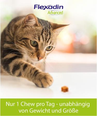 Flexadin Advanced Cat - Joint Health Supplement with UC-II Collagen | 60 Gelatin Capsules for Cats - Buy Online on GoSupps.com