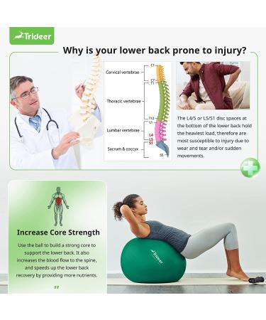 Trideer Exercise Ball for Physical Therapy and Fitness - Green, L (23-26 inches) - Swiss Ball for Rehab, Core Strength, Yoga, Balance, and Flexibility - Buy Online on GoSupps.com