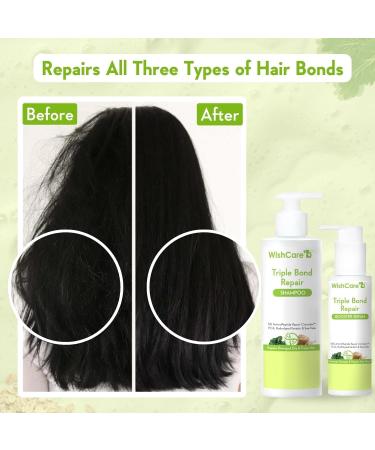 Wis Car.e Triple Bond Repair Shampoo for Dry & Frizzy Hair - 5% AminoPeptide Complex & PCA - Repairs Damaged & Frizzy Hair 250ml - Buy Online on GoSupps.com
