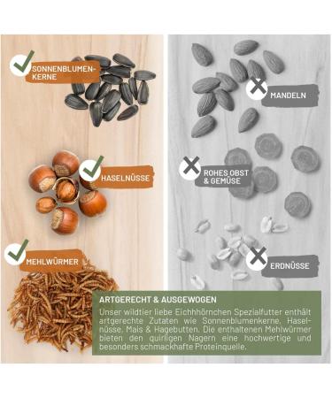 Buy Wildlife Squirrel Feed 2 kg - Year-Round Nutrition for Squirrels & Stripe Horns | International Shipping - Buy Online on GoSupps.com