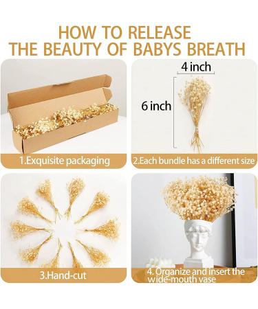 50Pcs Mini Dried Baby's Breath Flowers - Ivory White Bulk Gypsophila Bouquet for Resin Art & DIY Crafts | Perfect Mother's Day Gift, Wedding Decor, Card Making, Home Decor - Buy Online on GoSupps.com