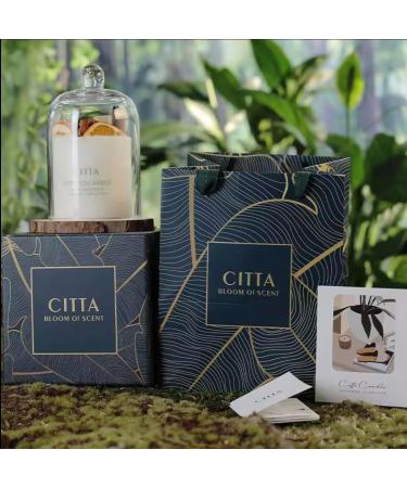 Long-Lasting Fragrance Candles | Premium Scented Candles with Essential Oils | Elegant Home Decor Gift & Meditation Aromatherapy - Buy Online on GoSupps.com