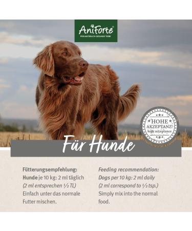 AniForte Barf Feed Oil for Dogs 250ml - Premium Cold-Pressed Omega 3 & 6 Oil | Natural Balanced BARF Supplement - Buy Online on GoSupps.com