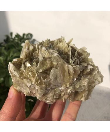 Natural Phlogopite Flake Raw Specimen Stone Natural Decoration Ornaments Collectible Gifts Can be Used for (Size : 320-400g) JZIGTDEM (Size : 320-400g) - Buy Online on GoSupps.com