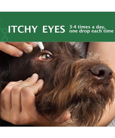 Cat & Dog Eye Drops 2 Bottle Relieve Red Eyes & Allergy Symptoms & Relieve Eye Inflammation Infect for Acute or Seasonal Dry Eyes Eye Wash Drops Gentle Formula for Dirt Crust & Discharge Remover - Buy Online on GoSupps.com