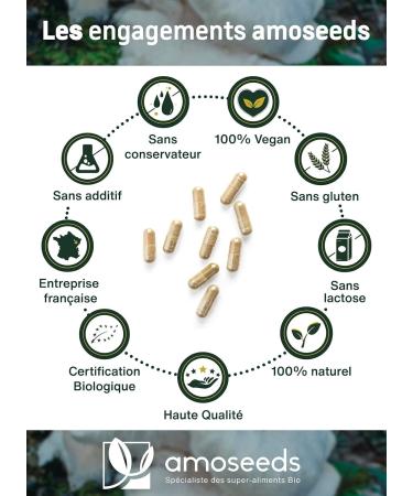 Organic Hericium Erinaceus | Memory Mushroom | Highly Dosed 37% Polysaccharides | 120 Vegan Capsules | Lion's Mane Vegan No Additives | Superior Quality | Made in France - Buy Online on GoSupps.com