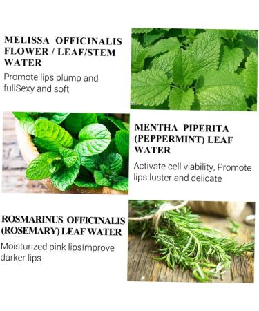 DRESSOOS Lip Serum Lip Balm Lip Oils Lipgloss Lip Gloss Lip Tint Essence Lip Care Supplies Hydrating Lip Oil Lip Plumping Oil Lip Oil Balm Lip Pomade Water Moisturizing Moisture Cream - Buy Online on GoSupps.com