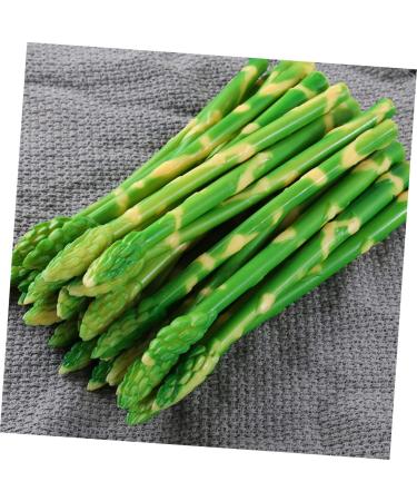 HOMSFOU 20 Pcs Simulated Asparagus Ornaments Pretend Play Food Fake Bamboos Food Faux Veggies Fake Food Model Asparagus Models Simulated Food Artificial Asparagus Model Pvc Vegetable Plant Light Greenx2pcs 19X0.9CMx2pcs - Buy Online on GoSupps.com
