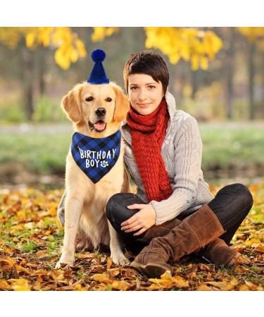 Boy Dog Birthday Party Supplies - Bandana Scarf and Hat with Number - Buy Online on GoSupps.com