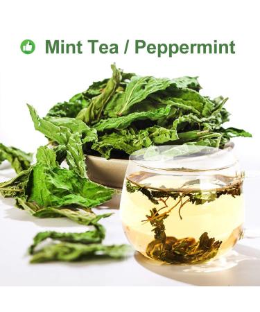 100% Organic Peppermint Tea - Health Benefits & Traditional Flavor - 30g | Global Shipping - Buy Online on GoSupps.com