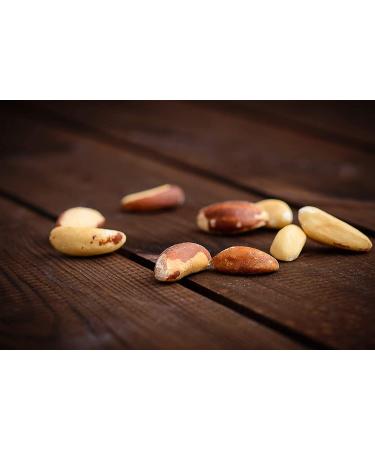 Roastery Coast Daily Nuts Whole Raw Brazil Nuts - Nut Snacks Multi Pack | Unsalted, Non-GMO, Certified Gluten Free | Selenium | Kosher Certified - Buy Online on GoSupps.com