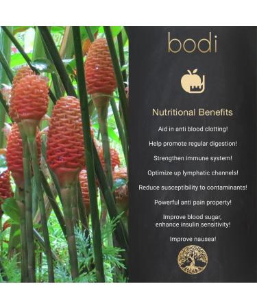bodi : Ginger Root Powder | 4oz to 5lb | 100% Pure Natural Hand Crafted (4 oz) 4 Ounce (Pack of 1) - Buy Online on GoSupps.com
