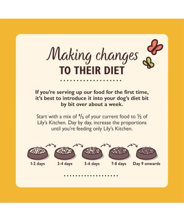 Lily's Kitchen Natural Soft Pate for Adult Cats Grain Free Recipes Multipack (32 x 85g Tub) - Buy Online on GoSupps.com