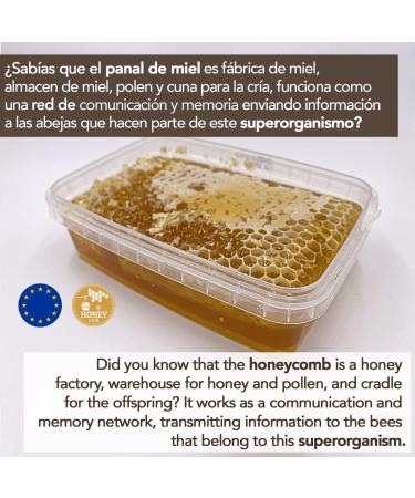 Honeycomb of EU origin -350 g - Flower honey in comb with floral aroma. Bee honey strengthens the defenses has - Buy Online on GoSupps.com