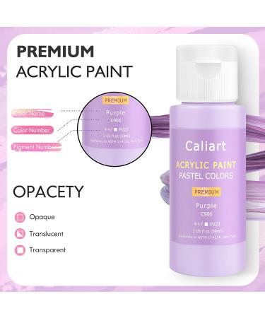 Caliart Pastel Acrylic Paint Set with 12 Brushes - 24 Colors (59ml/2oz) for Artists, Students, Kids - Halloween Painting Supplies Kit - Buy Online on GoSupps.com