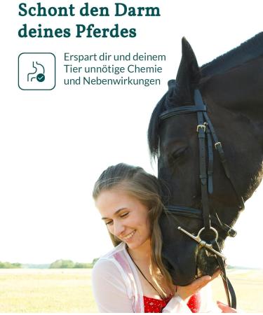 Vetevo Wurmtest for Horses | Reliable Roundworm & Strongylid Egg Count Test for Selective Deworming - Buy Online on GoSupps.com