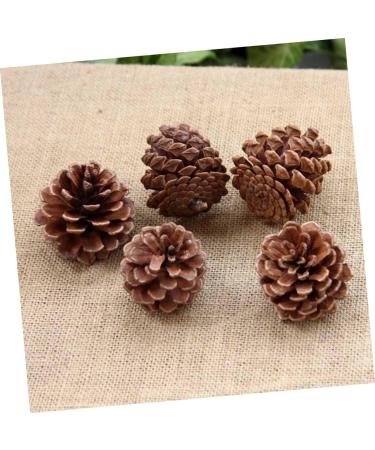 ABOOFAN 72 Pcs Xmas Pine Cone Ornaments Christmas Pine Cone Pine Cone Decorations Pine Needles Natural - Buy Online on GoSupps.com