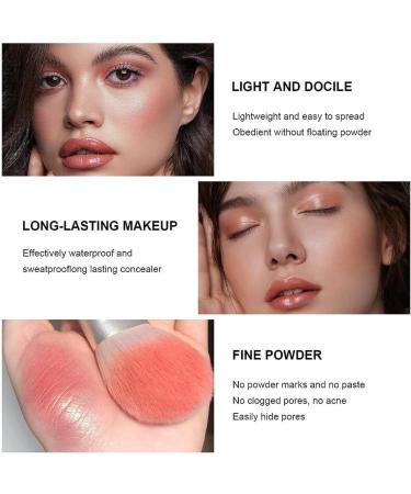 Palette de 12 couleurs d'anticernes et de fards joues longue tenue r sistante aux bavures estompable 2 en 1 fards joues en cr me au fini mat Palette de maquillage pour le visage (#02) #12-2 - Buy Online on GoSupps.com