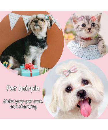 Taicols 10-Piece Dog and Cat Hair Clips - Stylish Accessories for Small to Medium Pets | Perfect for Dog Arches & Hair Care - Buy Online on GoSupps.com