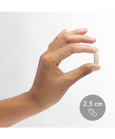 Dr. Mercola MSM Sulfur Complex - Joint Support & Cellular Health - OptiMSM - R-Alpha Lipoic Acid - TMG - Organic Sulfur Blend - 60 Capsules (30 Servings) - Buy Online on GoSupps.com