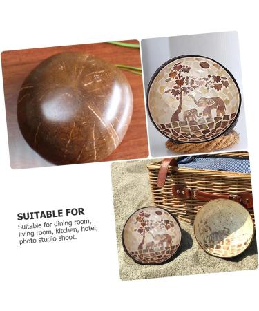 HOMSFOU 3 Pcs Coconut Shell Dishes Dessert Bowls Ice Cream Bowls Food Bowl Snack Bowls Nuts Bowl Cereal Bowl Sundae Cups Desktop Decor Shell Bowl Wooden Salad Bowl Coconut Bowl Spoon Candy 15X7CMx3pcs As Shownx3pcs - Buy Online on GoSupps.com