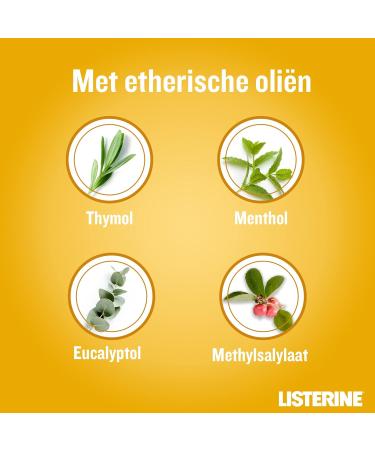 Listerine Fresh Ginger & Lime mouthwash with ginger and lime extract mouthwash without alcohol for fresh breath 1x500 ml - Buy Online on GoSupps.com