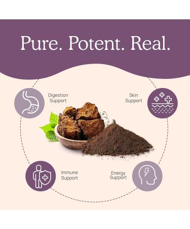 Organic Chaga Mushroom Powder Supplement for Digestion, Energy & Immune Support - 60 Servings, 60g - Vegan & Non-GMO - Buy Online on GoSupps.com