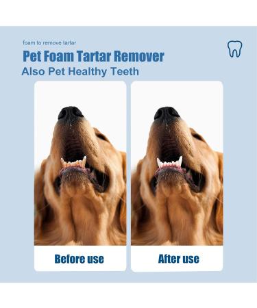 2 Pcs Dog Teeth Cleaning Foam - Natural Plaques Off & Tartar Remover for Dogs & Cats | Plaques & Tartar Remover for Pet Oral Care Supports Healthy Mouth for Dogs Promote Dental Health. Dobooo 2 Pcs One Size - Buy Online on GoSupps.com