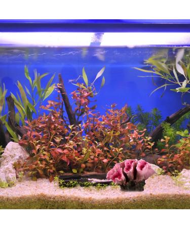 UEETEK Red Coral Artificial Plant - Aquarium Decoration for Fish Tanks | Realistic Aquascaping Decor - Buy Online on GoSupps.com