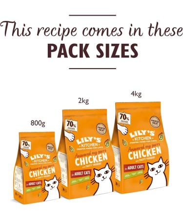 Lily's Kitchen Made with Natural Ingredients Adult Dry Cat Food Bag Chicken with Veggies Grain-Free Recipe 2kg Chicken Casserole 2 kg (Pack of 1) - Buy Online on GoSupps.com