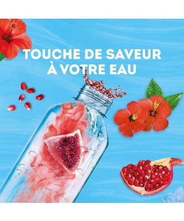 Lipton Infuse Froid Infusion Froid Go t Grenade et Hibiscus Id ale pour le Th Glac Ingr dients d'Origine 100% Naturelle 6x15 Sachets Pyramid - Buy Online on GoSupps.com