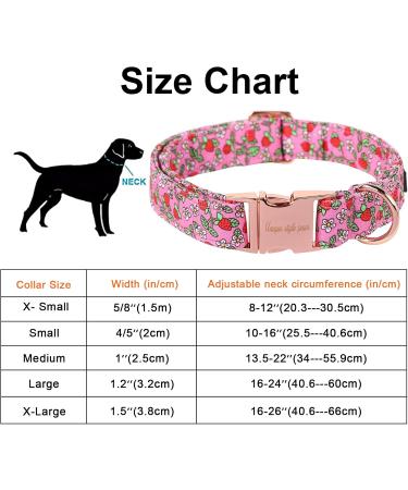 Unique Style Paws Summer Rosa Strawberry Dog Collar - Wide Fly Chain for Small to XL Dogs - Perfect Gift for Pet Lovers - Buy Online on GoSupps.com