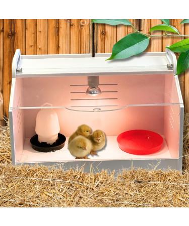 Omega-3 Enriched Starter Feed for Chicks - 10 lbs (4 54kg) - Ma Poule Express - Buy Online on GoSupps.com