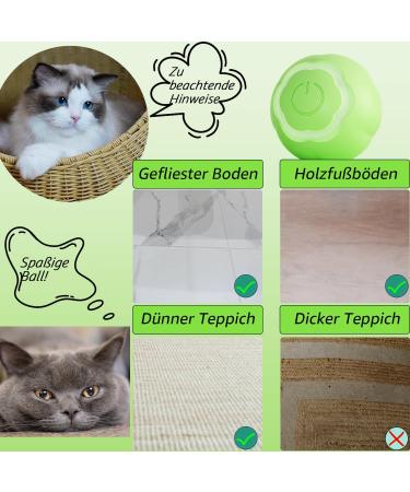 Peticularz Cat Toys - Self-Employment Electrical Powerball 2.0 | Interactive Wloom Intelligence Magic Ball for Cats - Green with Petals - Buy Online on GoSupps.com