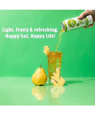 Wonder Drink Organic Kombucha Asian Pear Ginger 12oz Pack of 12 - Plant-Based Prebiotic Gut Health Sparkling Tea with Digestive Benefits - Buy Online on GoSupps.com