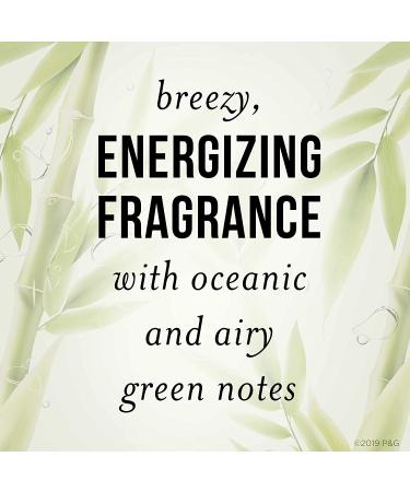 Pantene Volumizing Shampoo with Bamboo Nutrient Blends - 9.6 Fl Oz | Pack of 4 Hair Volume Multiplier Shampoo - Buy Online on GoSupps.com