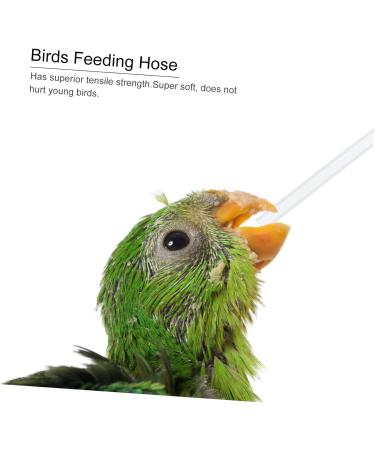 PopetPop 6-Piece Reusable Parrot Water Hose - Plexiglass Tube for Birds - Soft Accessories for Nymphensittich & Pets - 0.7x6.4cm - Buy Online on GoSupps.com