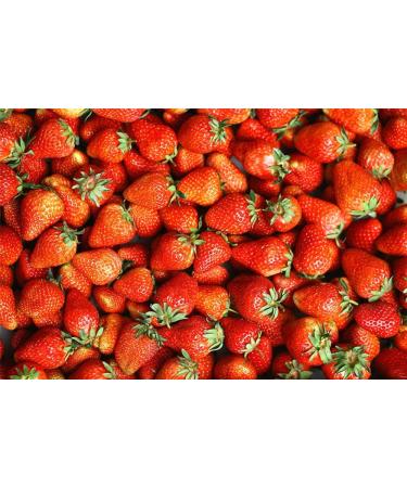 Strawberry Seeds Ancient Breed Berry Seeds Natural Beauty Strawberry500 Seeds - Buy Online on GoSupps.com